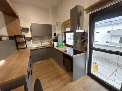 Penthouse de inchiriat 4 camere terasa Sibiu Doamna Stanca - Sibiu