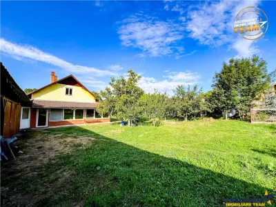 FILM!Areal apreciabil,casa+domeniu de 3.500mp,Sancraiu, aria Sfantu Gheorghe :  Brasov - foto 20
