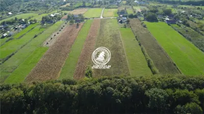 Teren langa padure - de vanzare in Poiana cu Cetate - foto 3