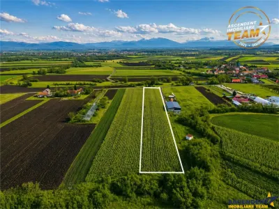 Film! Teren de 5.800 mp, Dobolii de Jos, Covasna - foto 3