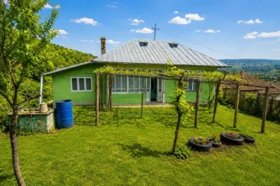 Casa batraneasca Raducaneni Iasi + 4300 mp teren, ASFALT ! - foto 2