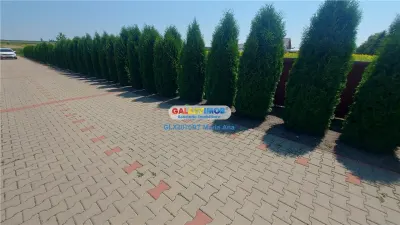 OPORTUNITATE DE INVESTITIE CASA P+M, TEREN 10.000 MP. HUTANI, VLADENI - foto 8