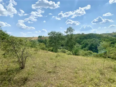 RECO Teren agricol 30.212 mp – ideal pentru livada sau plantatie de zmeura - Picleu