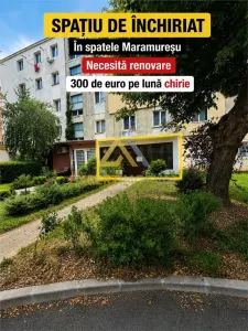 Spatiu comercial de inchiriat in spate la magazinul Maramuresul - Baia Mare