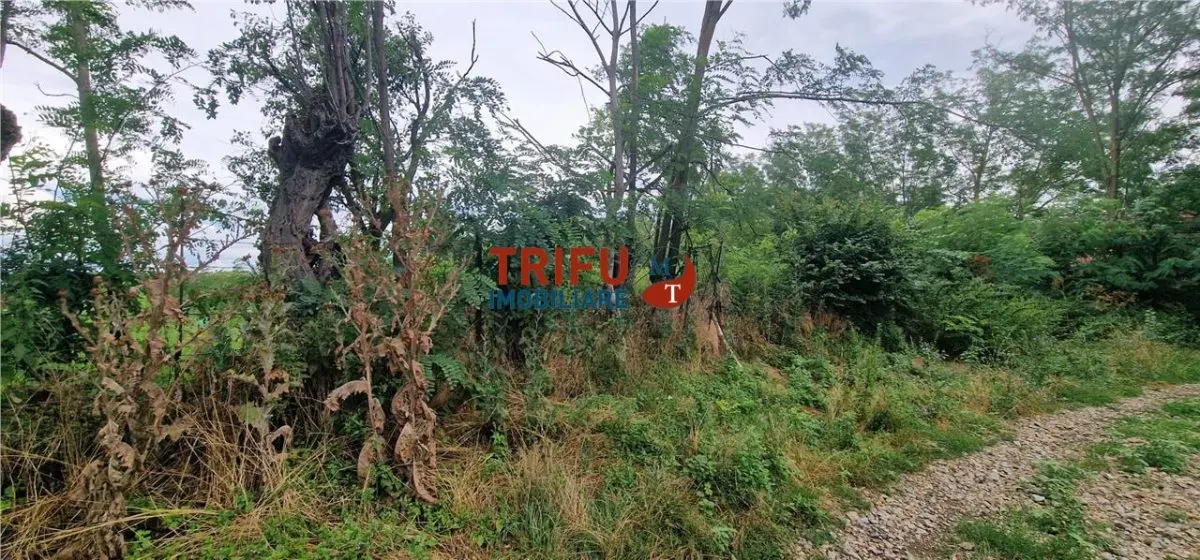 Teren intravilan de vânzare în Straja – ideal pentru casă de vacanță sau investiție turistică - foto 3