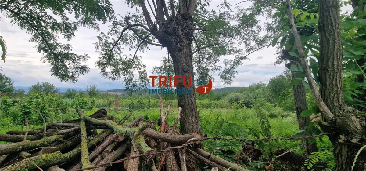 Teren intravilan de vânzare în Straja – ideal pentru casă de vacanță sau investiție turistică - foto 4