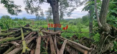 Teren intravilan de vânzare în Straja – ideal pentru casă de vacanță sau investiție turistică - foto 5