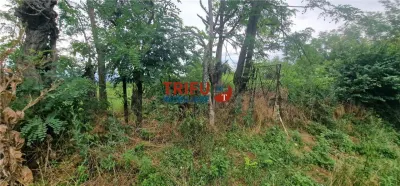 Teren intravilan de vânzare în Straja – ideal pentru casă de vacanță sau investiție turistică - foto 7