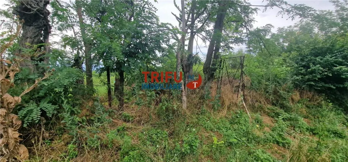 Teren intravilan de vânzare în Straja – ideal pentru casă de vacanță sau investiție turistică - foto 7