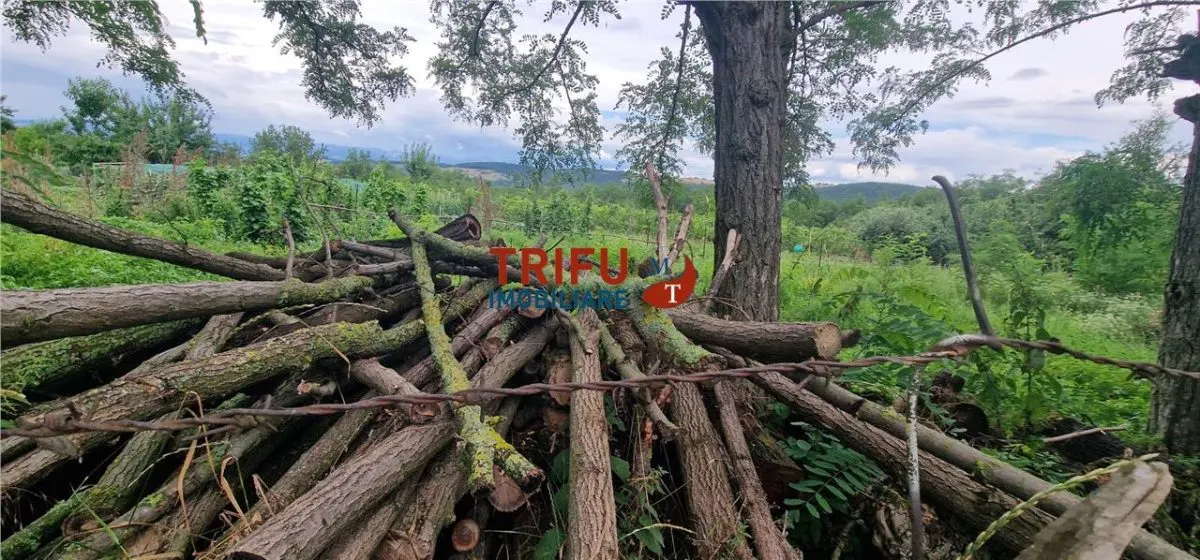 Teren intravilan de vânzare în Straja – ideal pentru casă de vacanță sau investiție turistică - foto 8