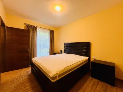 Apartament 2 camere de inchiriat zona Casa Crisan bloc nou - foto 5