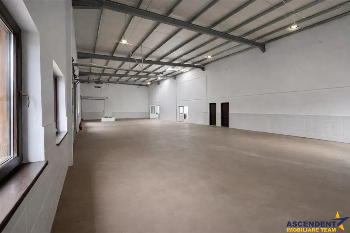 Hala productie premium+pachet afacere, domeniu de 4.700 mp teren,Solovastru, Mures - foto 8