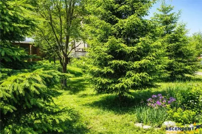 Locatie cu patru anotimpuri intr- o zi, incadrata de 2.350 teren, Bran - Fundata, Brasov - Brasov