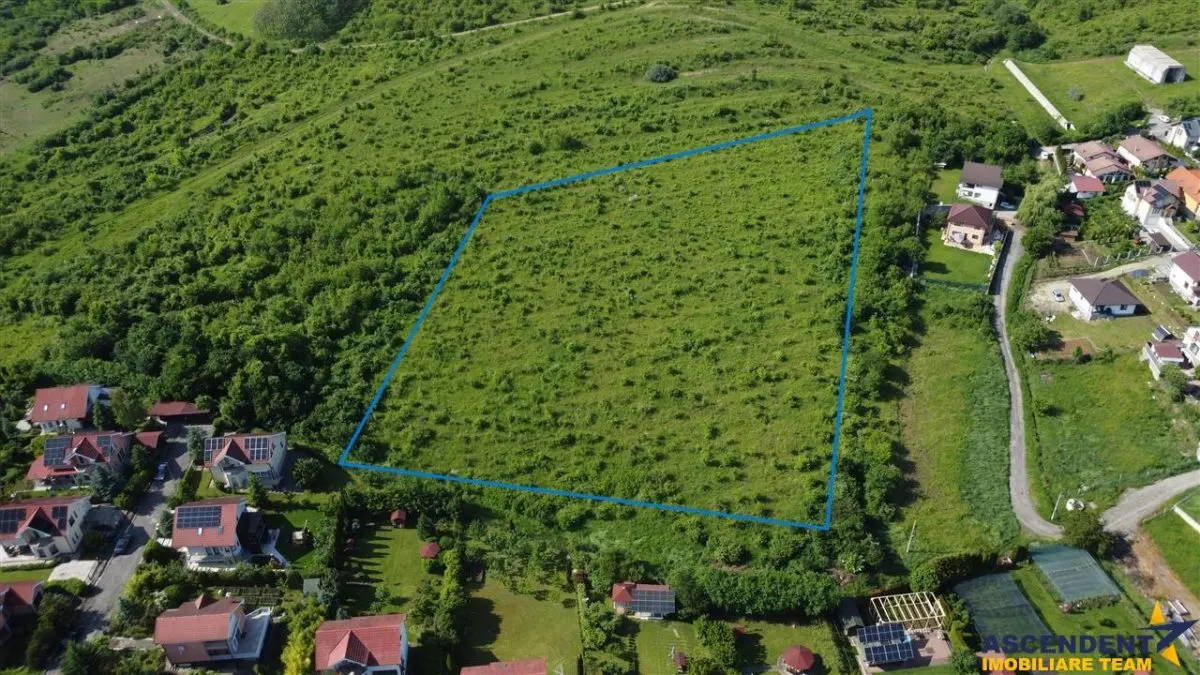FILM! Teren pretios: 17.200 mp, recomandat investitional/dezvoltare,Livezeni,Mures. - foto 3