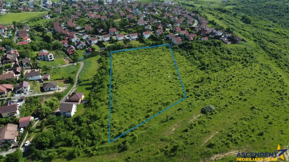 FILM! Teren pretios: 17.200 mp, recomandat investitional/dezvoltare,Livezeni,Mures. - foto 10