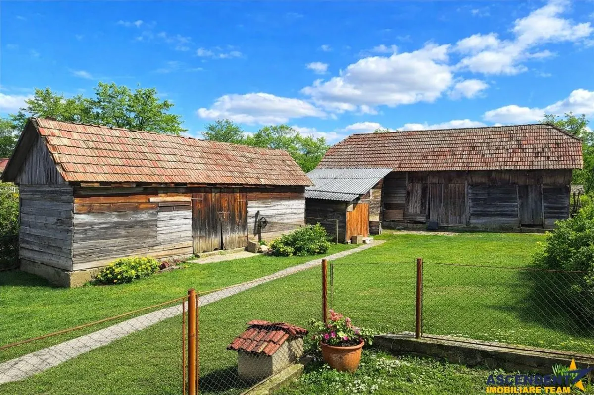 4.300 mp teren, pomicultura +casa traditionala, anexe, Craiesti, Mures. - foto 1
