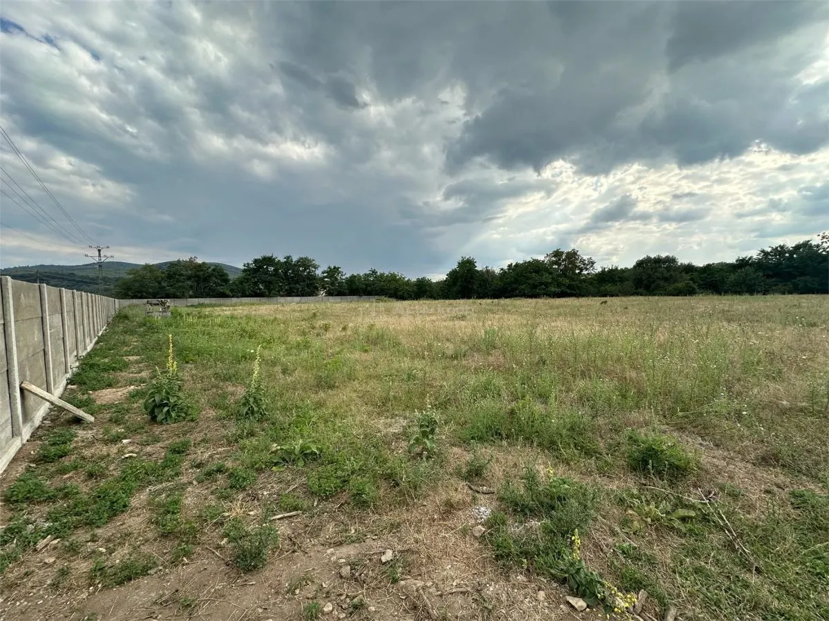 Bocsa Romana, De Inchiriat, Teren Intravilan 8.500mp, strada principala - foto 12