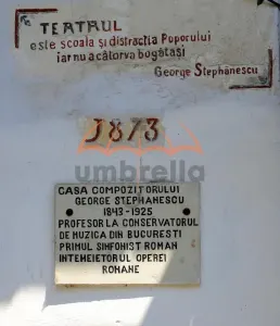 Conac - Casa Memoriala George Stephanescu - foto 4
