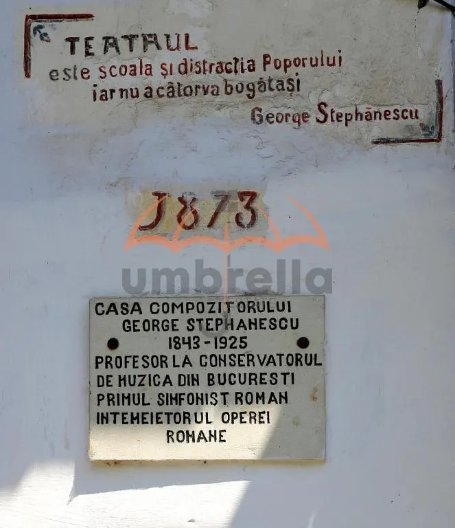Conac - Casa Memoriala George Stephanescu - foto 4