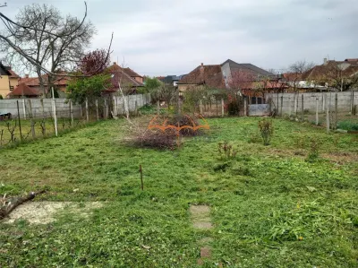 Casa zona Titulescu - foto 3