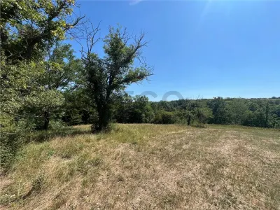 RECO Teren extravilan Lazareni 21400 mp - foto 5