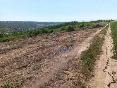 Ocazie! Sorogari TEREN 10000mp intravilan PUZ realizat si  toate utilitatile - foto 10