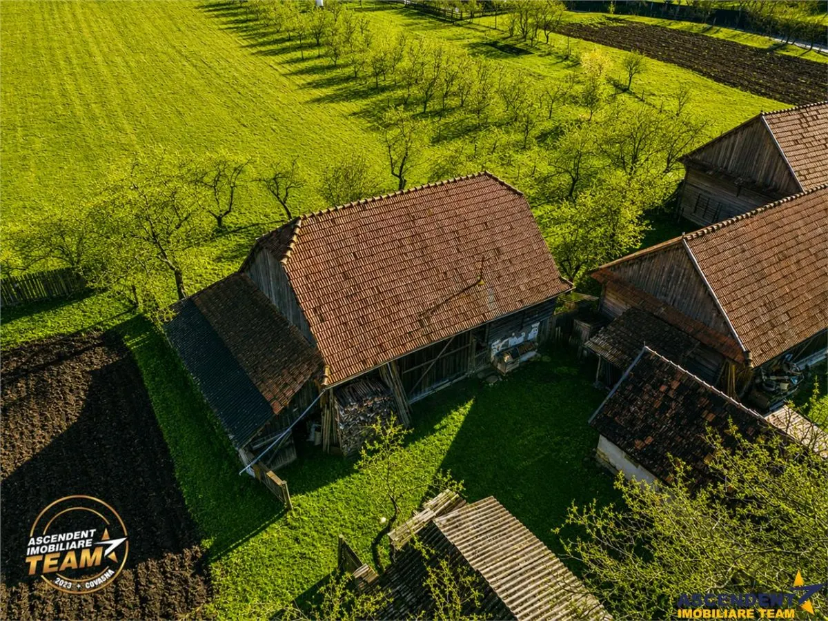 FILM! Domeniu de 6.221mp, livada pomi fructiferi+casa si anexe,Lemnia, Covasna - foto 17