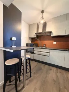 Copou - Parc , apartament 2 camere , 50 mp , amenajat modern - foto 7
