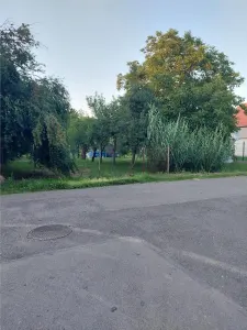 Teren - Plopi - Toate utilitatile + str. asfaltata - foto 2