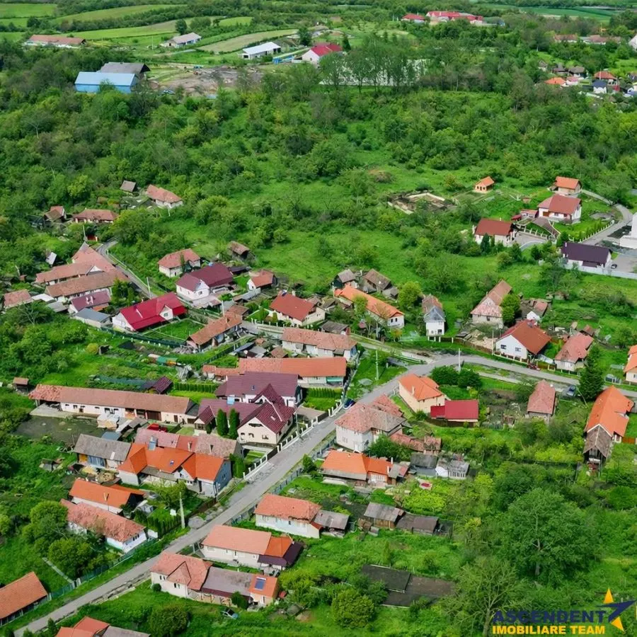 Casa eleganta, curte amenajata, garaj, Brancovenesti, Mures - foto 14
