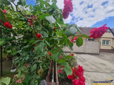 Poveste saseasca la umbra vitei de vie,cu crama,gradina flori,Central,Codlea - foto 14