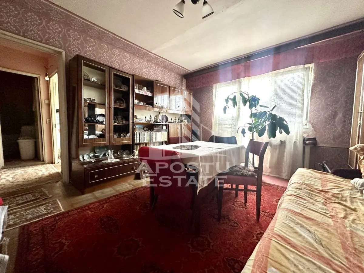 Apartament cu 2 camere de vanzare, etaj 3, zona Dambovita, Timisoara - foto 1