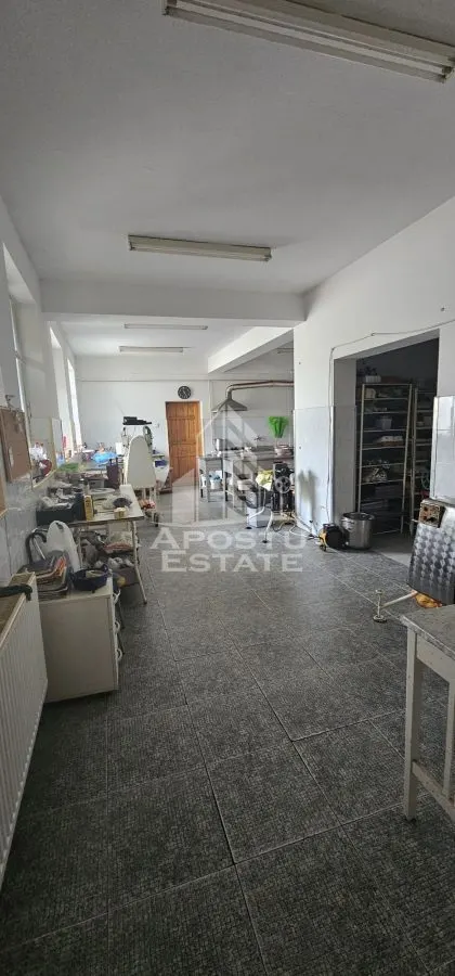 Casa vanzare I pozitie centrala I zona Cetatii I Timisoara - foto 6