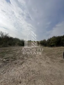 DE VANZARE – Teren 758 mp, zona Metro 2 – cu potential excelent de dez - Timisoara