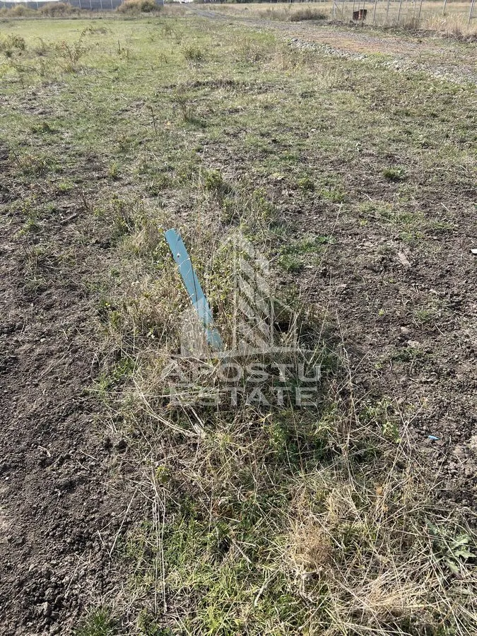 DE VANZARE – Teren 758 mp, zona Metro 2 – cu potential excelent de dez - foto 4