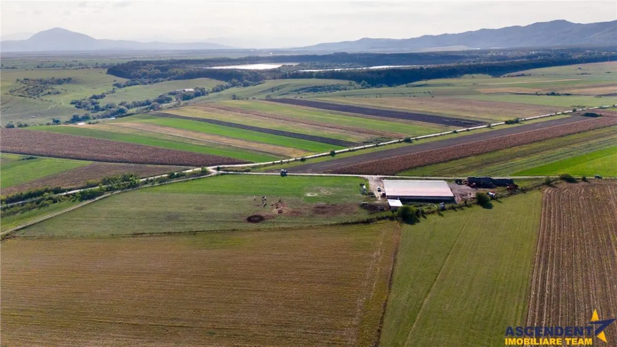FILM! Zona extinsa, teren mixt,18.000 mp, ideal agro-investitii, Rotbav, Brasov - foto 2