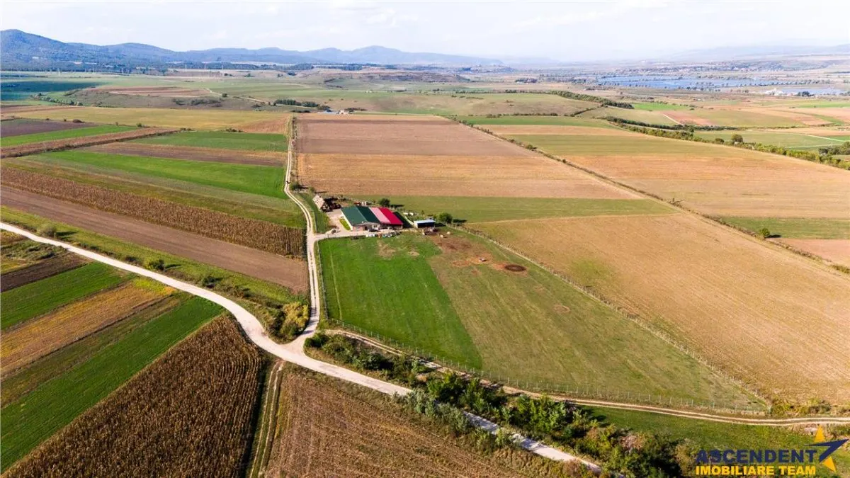 FILM! Zona extinsa, teren mixt,18.000 mp, ideal agro-investitii, Rotbav, Brasov - foto 12