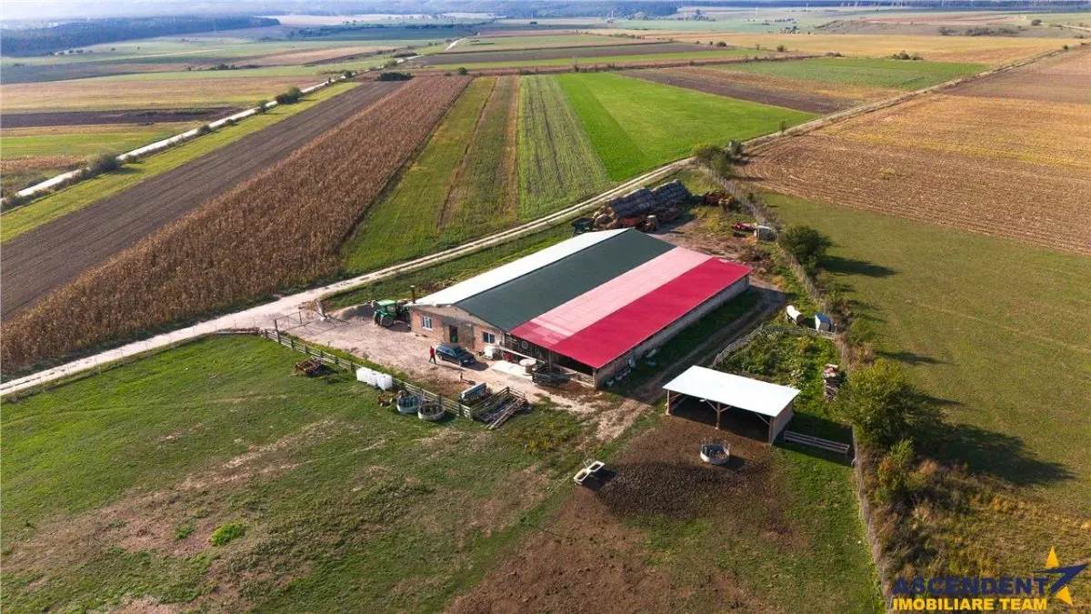 FILM! Zona extinsa, teren mixt,18.000 mp, ideal agro-investitii, Rotbav, Brasov - foto 6