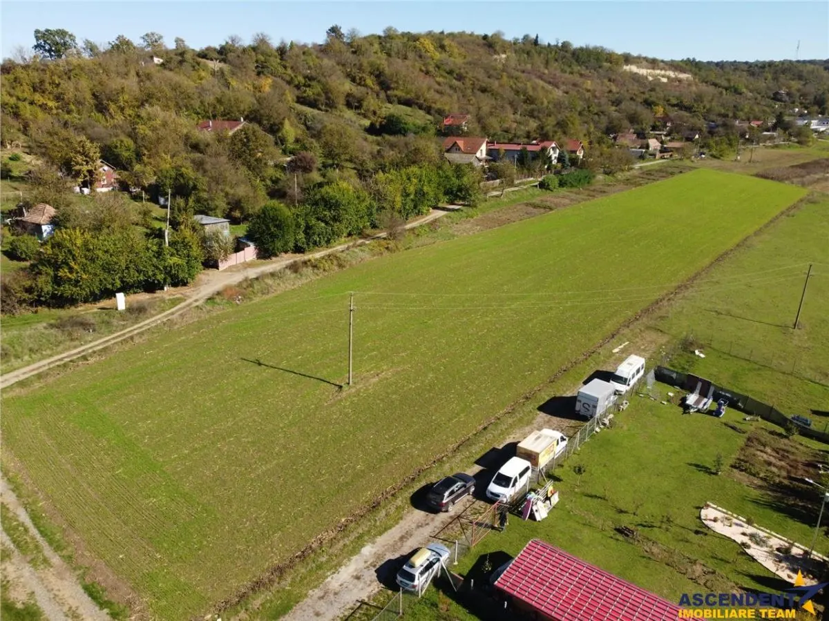 Ansamblu Funciar pretios,teren intravilan,14 loturi adiacente, langa padure, Budiului,Targu Mures - foto 11
