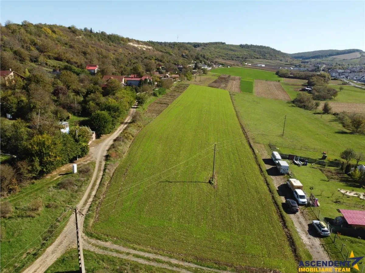 Ansamblu Funciar pretios,teren intravilan,14 loturi adiacente, langa padure, Budiului,Targu Mures - foto 10