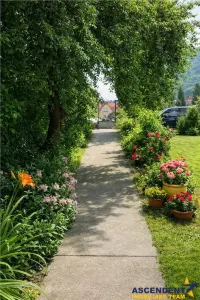 Vila Centru Istoric, Brasov: recomandata si pentru clinica/ centru educational - Brasov