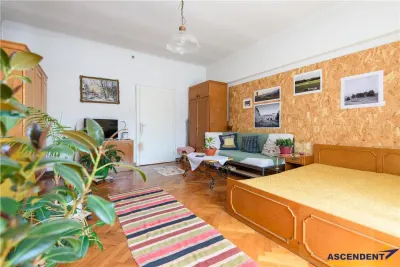 Potential, farmec si o pozitionare excelenta intr-o zona istorica a Brasovului - foto 14