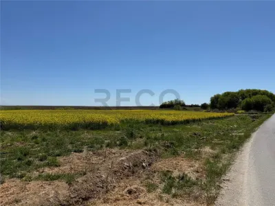 RECO . Teren intravilan cu hala metalica in Roit . - foto 4