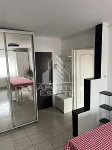 Apartament 2 camere, decomandat, centrala proprie, renovat, Freidorf. - foto 10