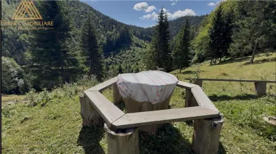 Teren 5ha in Munții Rarau - foto 17