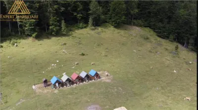 Teren 5ha in Munții Rarau - foto 7