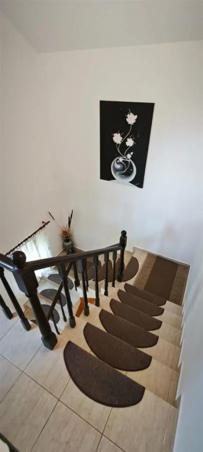 Vila individuala 5 camere Lunca Cetatuii--650 EURO - foto 10