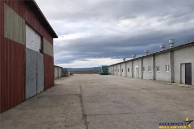 Hala industriala versatila,spatii cazare, platforma betonata,2.300 mp,Halchiu - foto 3