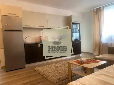 Apartament 2 camere Balcon si parcare zona Doamna Stanca - foto 4