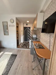 Garsoniera, de vanzare, zona Buziasului, Timisoara - foto 3